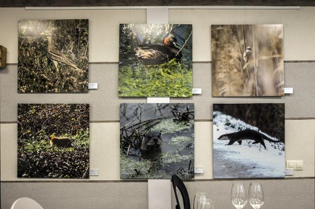 Juan Navajas, del Ninfeo del Vino, y Andrés Armendáriz, de Avista, en la sala de catas de esta tienda alfareña donde también se desarrollan exposiciones. /Justo Rodriguez