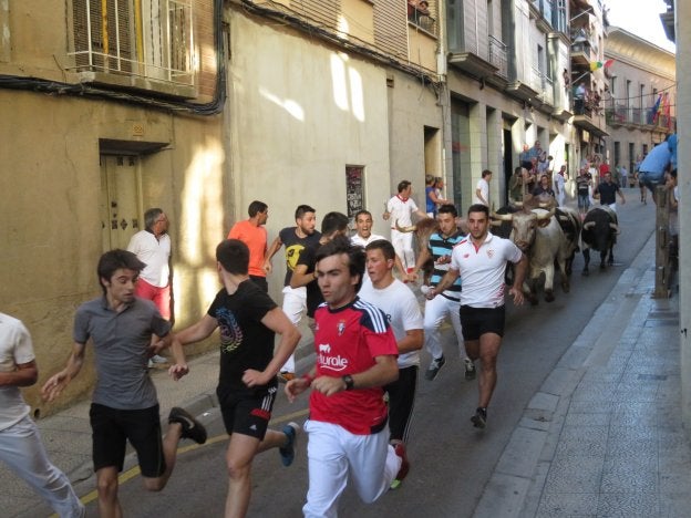 El encierro, anunciado con seis pasadas de ida y vuelta, y que se extendió por más de hora y media, atrajo a decenas de corredores en sus diversos tramos.