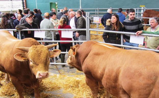 Edición anterior de una feria de ganado en Villoslada.