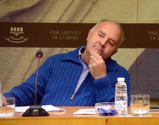 Santolaya, ayer durante su comparecencia ante la comisión de investigación del Parlamento. :: miguel herreros/
