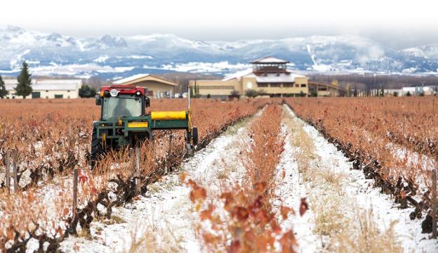 Tractor trabajando en una viña en Villalobar de Rioja durante las últimas nevadas. :: /Sonia Tercero