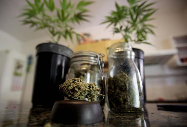 Plantas de marihuana y un cogollo en un domicilio particular. :: DESIREE MARTIN / afp
/