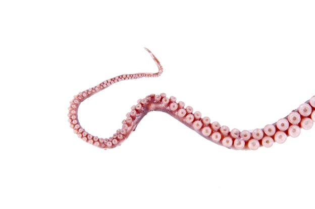 Un arte en peligro. El manejo de las nasas para la pesca del pulpo vive grandes vaivenes año tras año. :: r. gonzález/