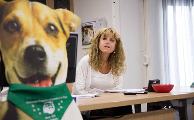 Carmen Faulín, presidenta de la Asociación Protectora de Animales de La Rioja, en una imagen de archivo./Andrea Aragón