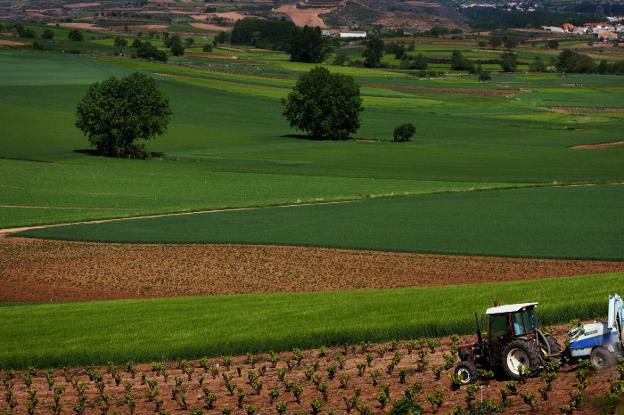El sector agrícola está pendiente de lo que suceda con la nueva PAC. :: justo rodríguez
/