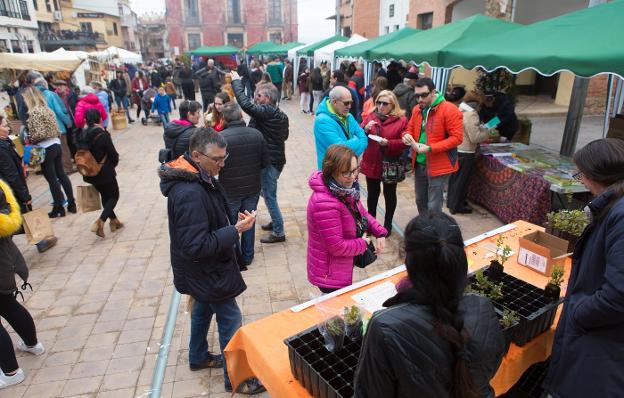 Mercado instalado en la plaza de la Tela. :/Sonia Tercero