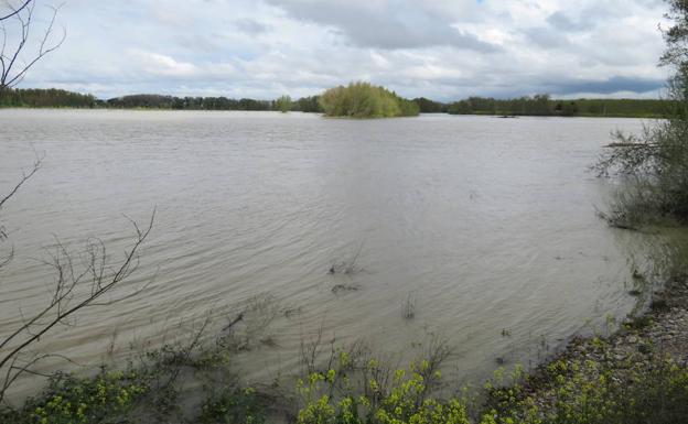 Expansión del cauce de alivio del Ebro a su paso por Alfaro.