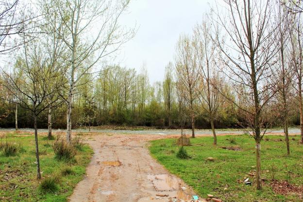 El paraje El Molino de Abajo, en Villamediana de Iregua, donde se construirá una pasarela peatonal para poder cruzar el río. :: D.M.A./