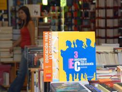Libros de texto de Educación para la Ciudadanía. / IDEAL DE GRANADA/