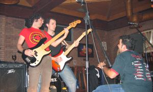 Diferentes imágenes de varios conciertos ofrecidos por el grupo Miedo Azul en Logroño. /L.R./