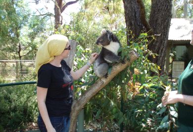 ESPECTACULAR. Rocío acaricia a un koala en uno de los bellos parques australianos. / L. R./