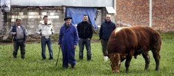 'Carloto', con el ganadero Cirilo y los hosteleros y carniceros interesados por su cuerpo. /J. RODRÍGUEZ/