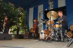 Un momento de la actuación, ayer, del trío 'The Fringe', en el parque de Tenorio. /ALBO/