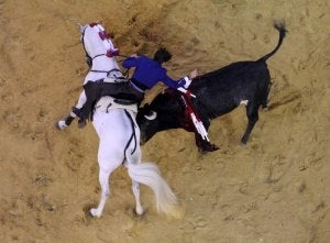 Pablo Hermoso de Mendoza, a lomos de Pirata, el domingo pasado en Bogotá, donde cortó cuatro orejas y un rabo. ::
EFE/