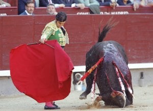 Morante de la Puebla lancea a su primer astado, que se derrumba a sus pies. ::
EFE/