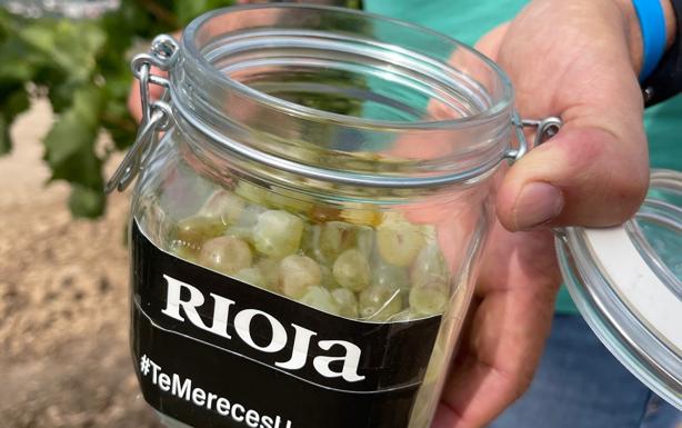 Rioja entra de lleno en la vendimia con probabilidad de alcanzar los máximos diarios de recolección