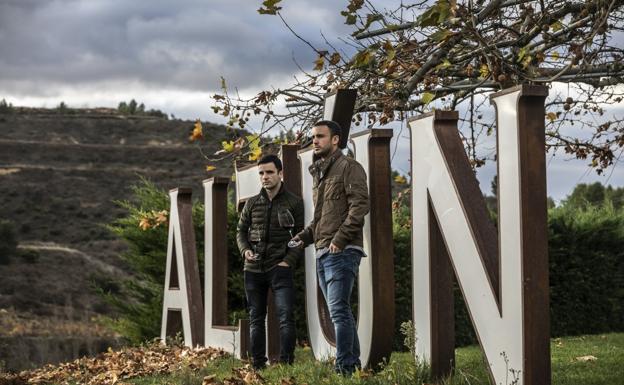 Los hermanos Iker y Alberto Martínez observan los viñedos desde la bodega; a la izquierda labores de selección tras la vendimia, y debajo una de las parcelas. / J.R./L.R.