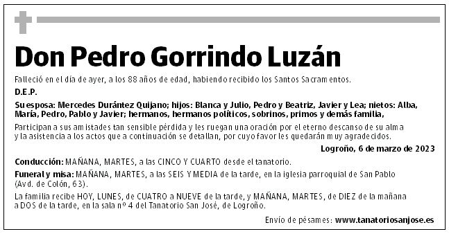 Don Pedro Gorrindo Luzán