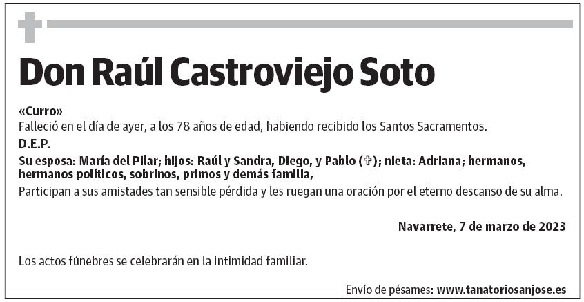 Don Raúl Castroviejo Soto