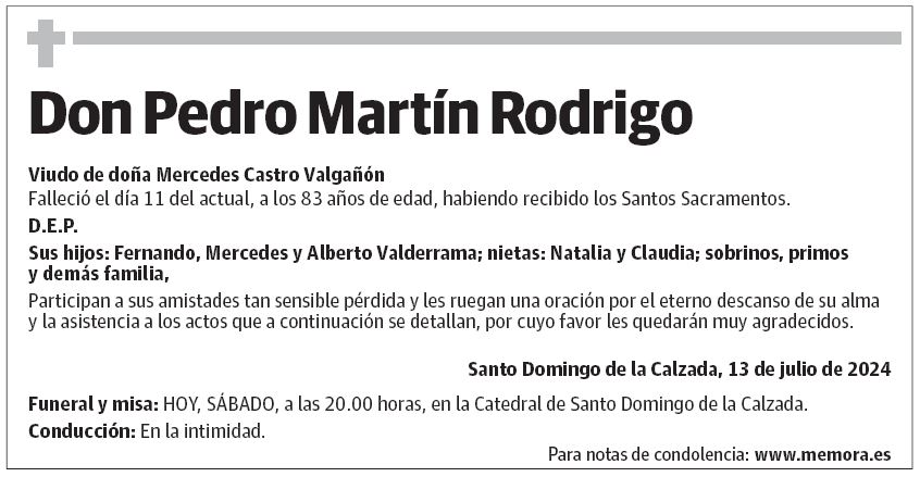 Don Pedro Martín Rodrigo