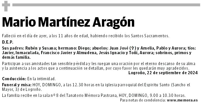 Mario Martínez Aragón