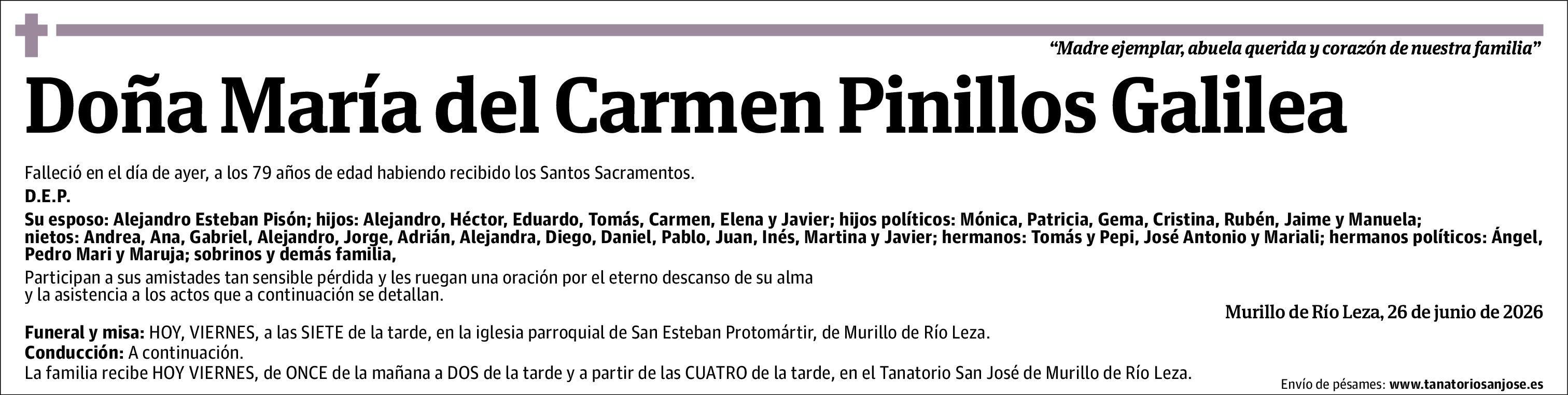 María del Carmen Pinillos Galilea