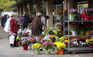 El mercado de las flores de Todos los Santos en la plaza de Joaquín Elizalde, en una imagen de archivo./Sonia Tercero