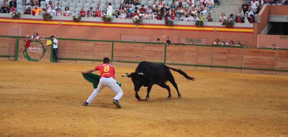 La plaza arnedana contará con tres festejos taurinos en septiembre - Vimarsana News