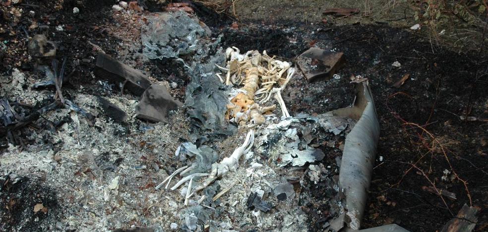 Investigado por quemar restos funerarios sin autorización y provocar un incendio en Aguilar - Vimarsana News