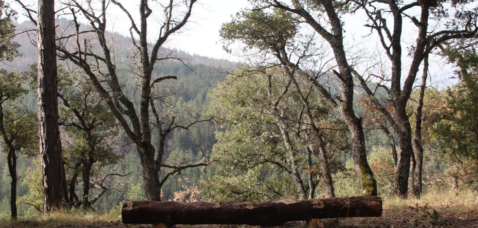 Finca Ribavellosa: para aprender a amar la naturaleza - Vimarsana News
