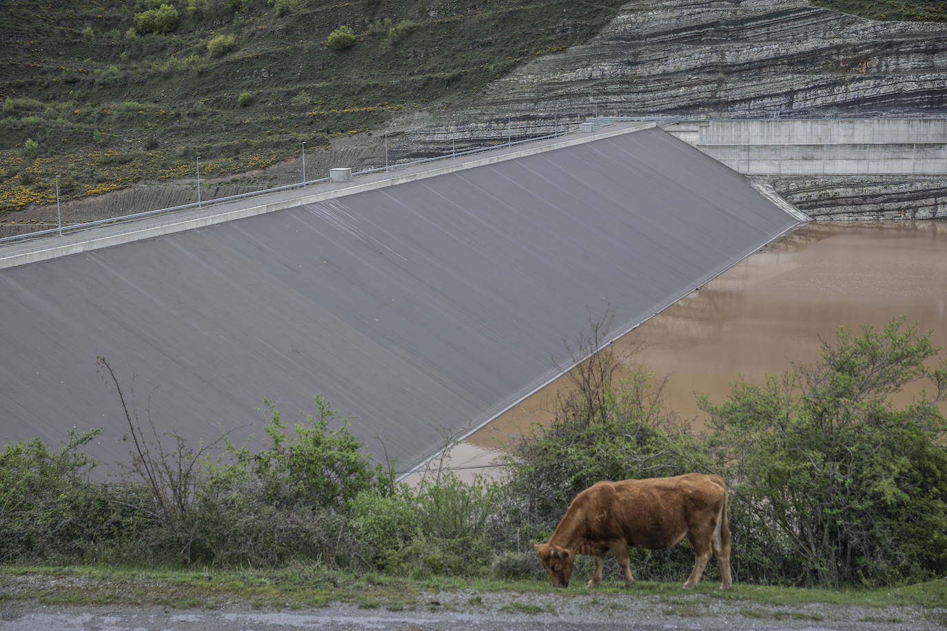 La presa de Terroba vive el día de la marmota La Rioja